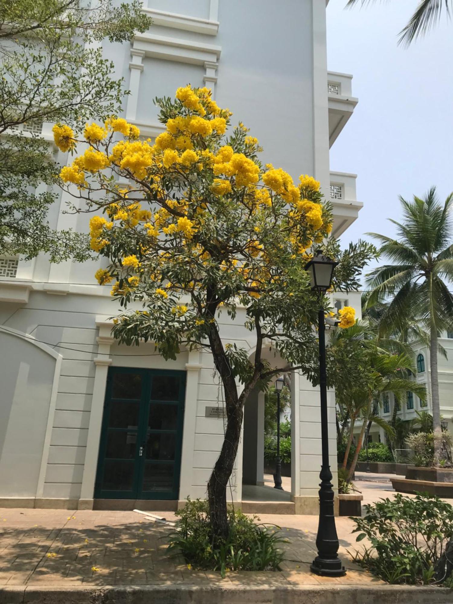 Kalia Hotel Phú Quốc Ngoại thất bức ảnh